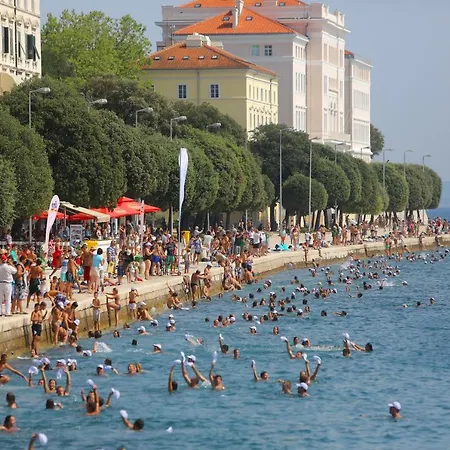Apartment F Zadar